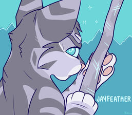 Jayfeather