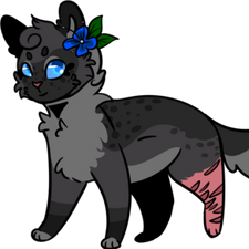 Cinderpelt